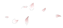 Koshi Cosmetics