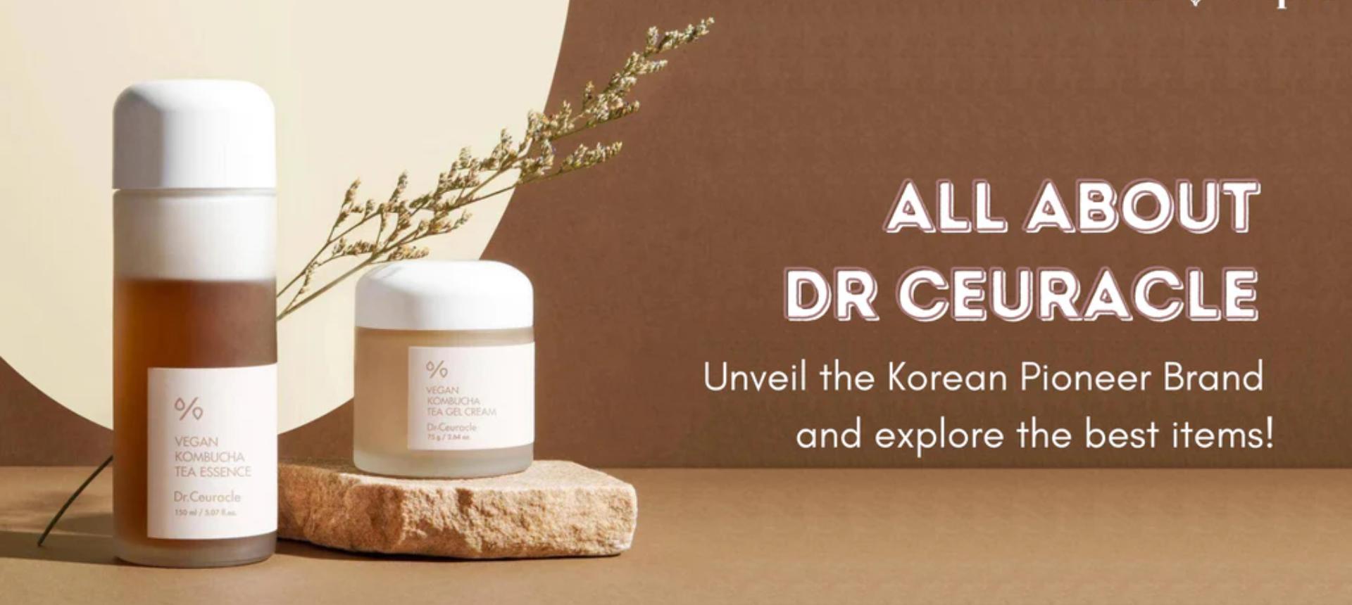 Dr. Ceuracle