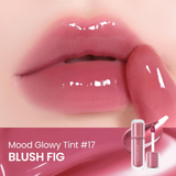 Mood Glowy Tint Peripera France