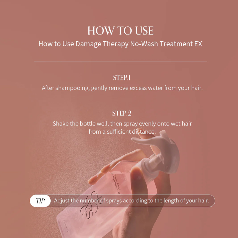 Damage Therapy No-Wash Treatment EX