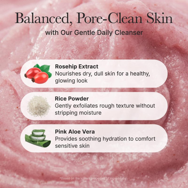 Fresh Rosehip Rice Mochi Cleanser Arencia France kbeauty