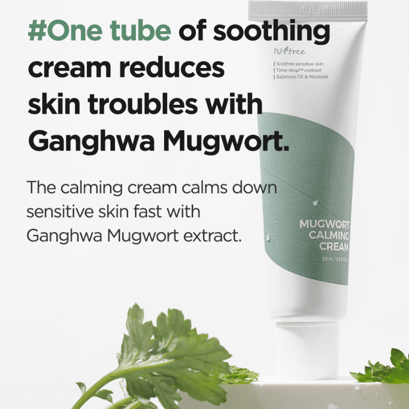 Mugwort Calming Cream isntree France kbeauty