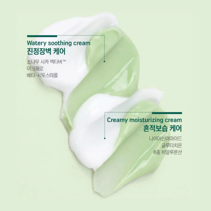 Pine Calming Cica Cream Plus Round Lab France
