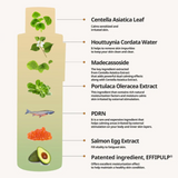 Salmon Caring Centella Toner