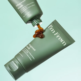 Mugwort Mask