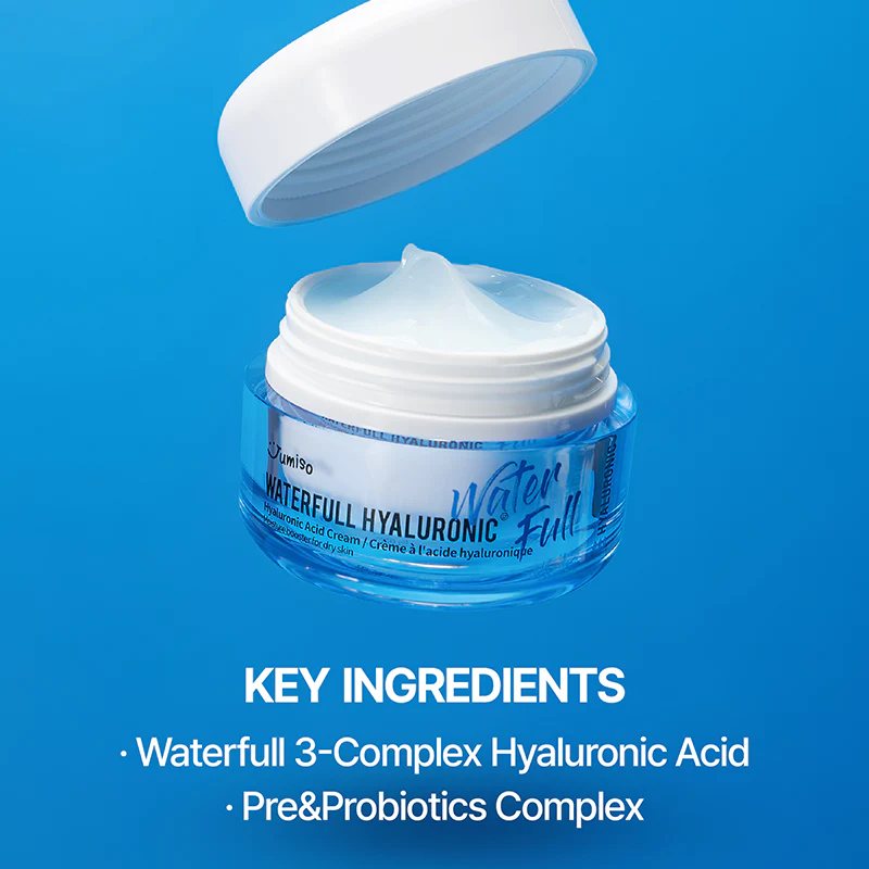 Waterfull Hyaluronic Acid Cream Jumiso France 