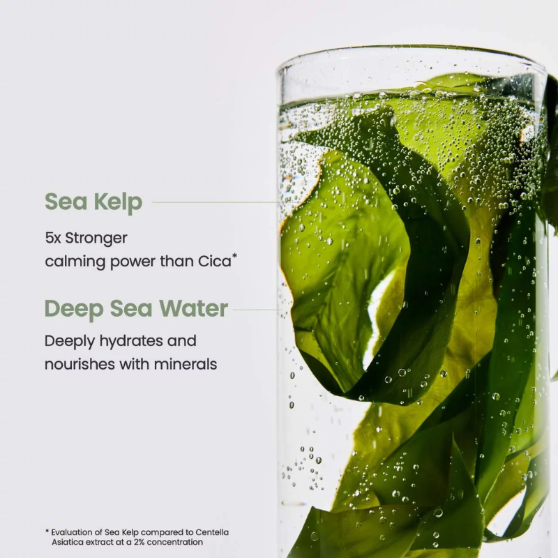 Refreshing Sea Kelp Real Deep Mask Biodance France