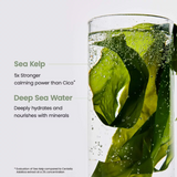 Refreshing Sea Kelp Real Deep Mask Biodance France